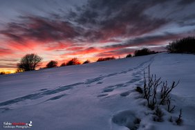 Nella stessa direzione